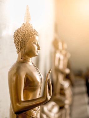 Altın Buddha Statue öğretim el ile demek inanç sıcak ışığıyla kötü şey yapmayı kes. Dikey görüntü