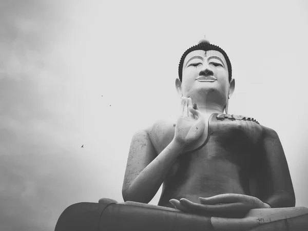伟大的美丽的佛像冥想坐在当地的寺庙 黑白相间的样式 — 图库照片