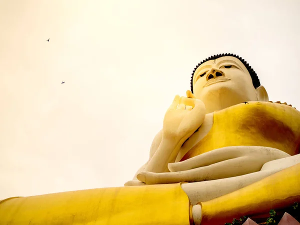 大伟大的美丽佛像冥想坐在当地寺庙柔和的灯光 泰国与复制空间 — 图库照片