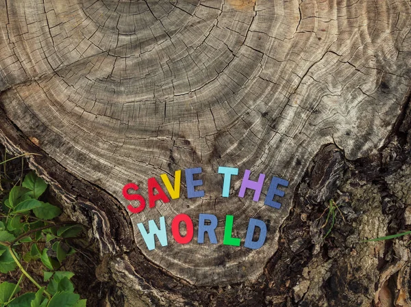 Save The Word Text on Stump. Save Earth and Environment. Ecology Concept