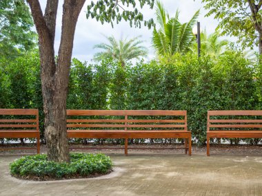 Ahşap banklara çimento zemin ve ağaçlar, mavi gökyüzü arka plan üzerinde Park Bahçe Lambası.