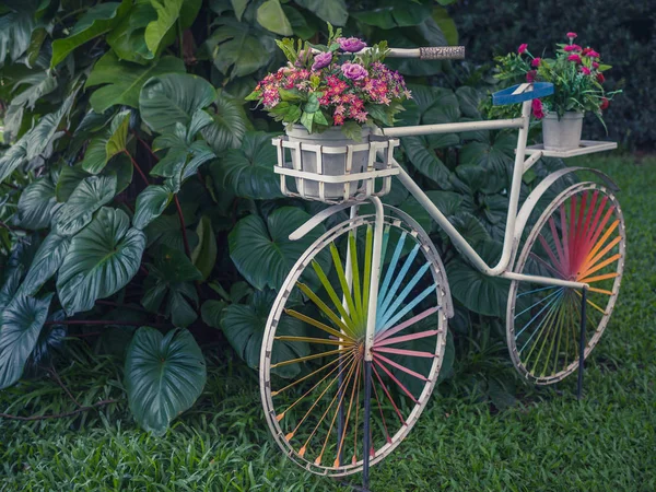 White Vintage Bicycle Colourful Wheel Colourful Flowers White Pot Basket — Stock Photo, Image