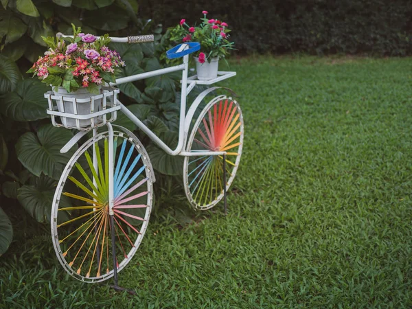 Bicicletta Vintage Bianca Con Ruota Colorata Fiori Colorati Nel Vaso — Foto Stock