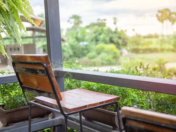 Ancienne Chaise Bois Relax Avec Des Plantes Jardin Dans Des — Photo