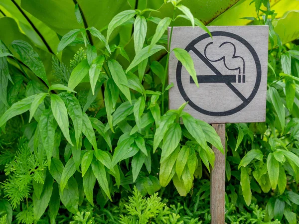 Não Fumar Sinal Madeira Plantas Tropicais Jardim — Fotografia de Stock