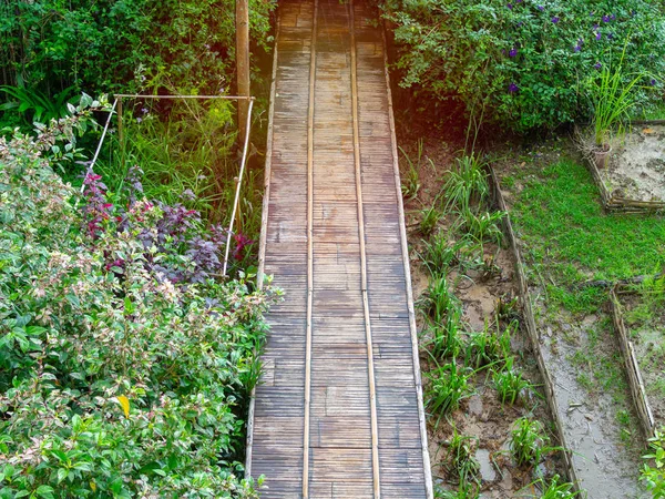 Holzsteg Bambusbrücke Mit Baum Und Blumenpark Und Reisfeldansicht — Stockfoto