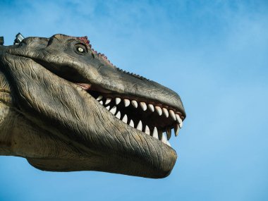 Dinozor Tyrannosaurus Rex kafasına mavi gökyüzü arka plan boşluk.