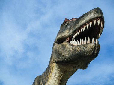 Dinozor Tyrannosaurus Rex kafasına mavi gökyüzü arka plan boşluk.