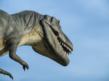 Mavi gökyüzü arka plan boşluk ile dinozor Tyrannosaurus Rex.