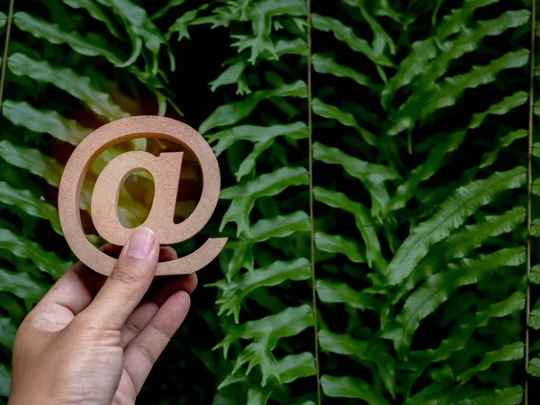 Hand holding wooden E-mail address symbol, arroba icon on green leaves background witc copy space. E-mail marketing online internet, technology and environment concept.