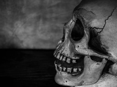 Korku insan kafatası yüzün eski ahşap masa ve çimento grunge duvar arka plan üzerinde siyah beyaz stil üzerinde kopya alanı ile yakın çekim yan.