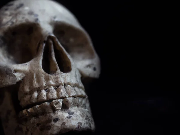 Calavera Humana Primer Plano Con Fondo Oscuro Concepto Muerte Spooky — Foto de Stock