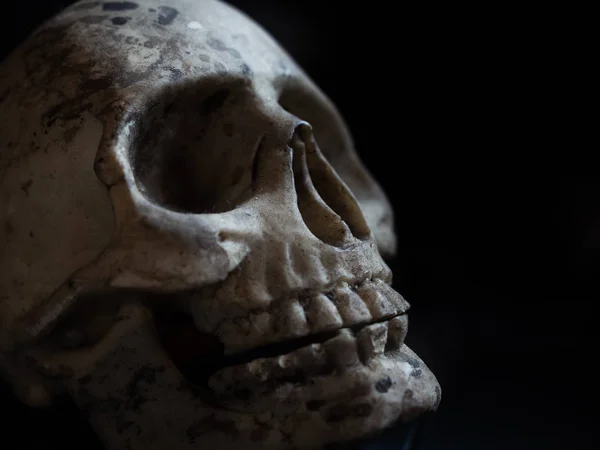 클로즈업 어두운 배경으로 인간의 해골입니다 개념입니다 할로윈 스타일 — 스톡 사진