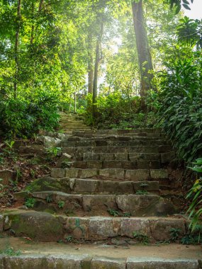 Tropikal ağaçlar ve bitkiler dikey stil arasında Hill'e giden orman patika taş merdiven.