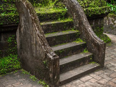 Yeşil yosun ve bitkiler eski çimento merdiven kapalı.