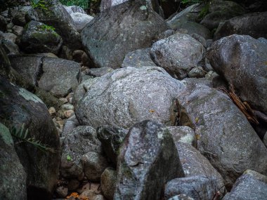 Yeşil yosun rainforest taşlarla kaplı. Ormanın içinde birçok şelale taş yığınları.