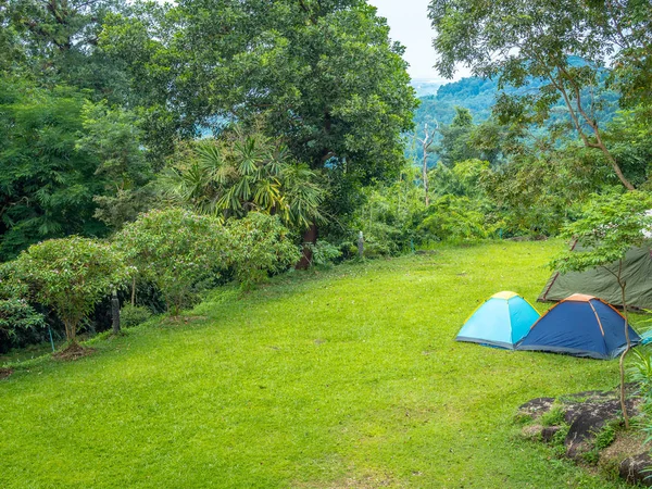 Camping Tendas Azuis Grama Verde Com Vista Para Montanha Céu — Fotografia de Stock