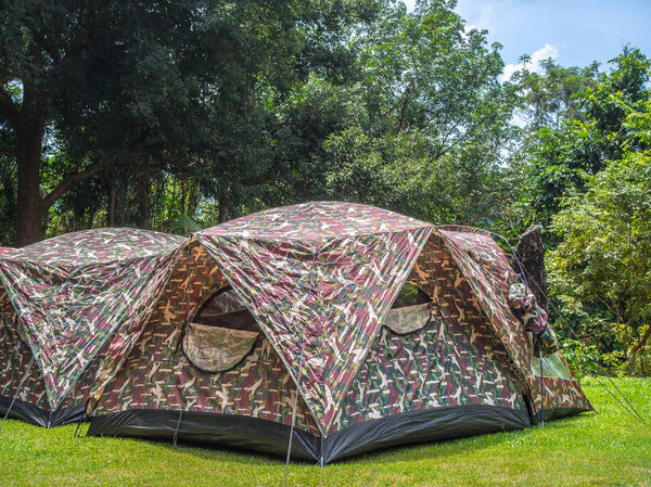 Camping tents on green grass under the tree in the forest.