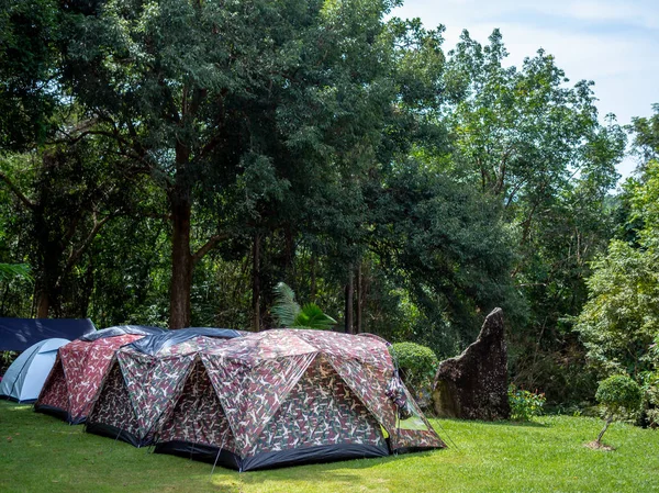 Tendas Acampamento Grama Verde Sob Árvore Floresta — Fotografia de Stock