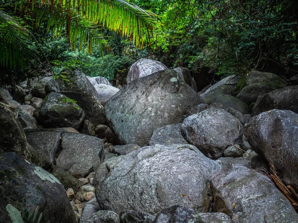 Musgo Verde Cubierto Piedras Selva Tropical Montones Muchas Piedras Cascada — Foto de Stock