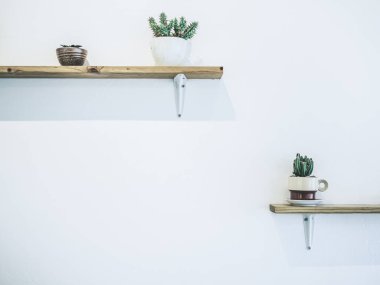 Küçük kaktüs bitkisi kopya alanı ile beyaz duvar ahşap raflardaki şirin tencere. Minimalist tarzı dekorasyon.