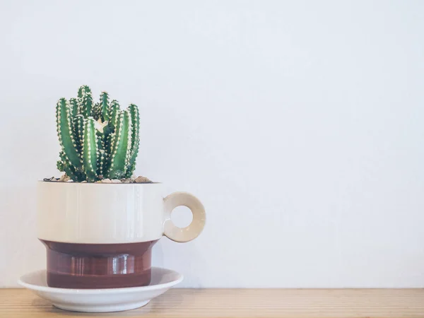 Small Cactus Plant Ceramic Coffee Cup Wooden Shelve White Wall — Stock Photo, Image