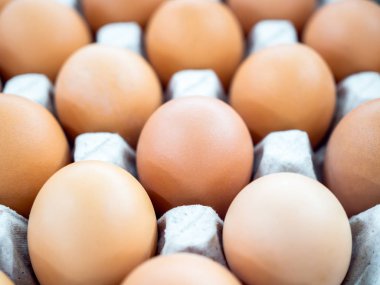 Yakın çekim çiğ tavuk yumurta yumurta kutusundaki bir bakış. Tavuk yumurta arka plan.