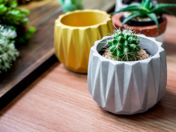 Colorful geometric planters on wooden table background. modern beautiful painted concrete planters and cactus plants or succulent plants. Home and garden decoration concept.