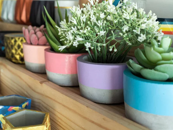 Colorful geometric planters on wooden shelf. modern beautiful painted concrete planters and succulent plants. Home and garden decoration concept.