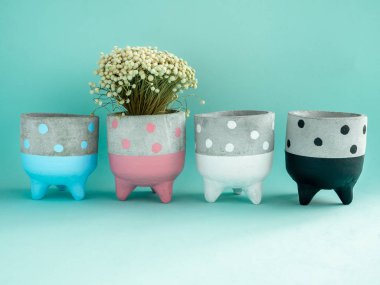 Renkli sevimli polka noktalı deseni çiçek ile beton yetiştiricilerinin üzerinde satır. Açık yeşil renkli kopya alanı ile üzerinde ev dekorasyon için beton tencere boyalı.