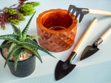 Bakır geometrik beton yetiştiricilerinin etli bitki ve Bahçe aracı ile beyaz arka plan üzerinde ayarlayın. Modern güzel beton pot, ev ve bahçe dekorasyon konsepti boyalı.