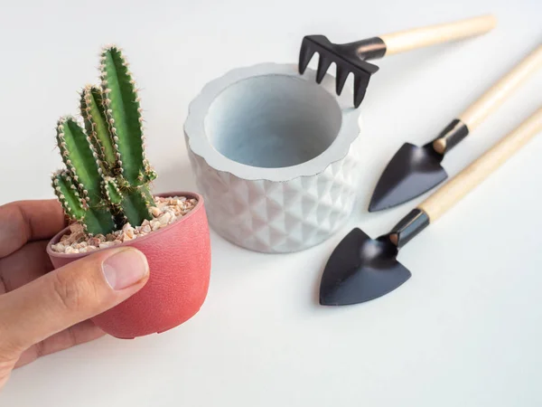 Mão Segurando Planta Cacto Vaso Plástico Vermelho Com Plantador Concreto — Fotografia de Stock