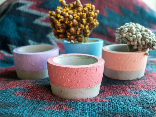 Colorful round geometric concrete planters with flowers on fabric background. Modern beautiful painted concrete pot, home and garden decoration concept.