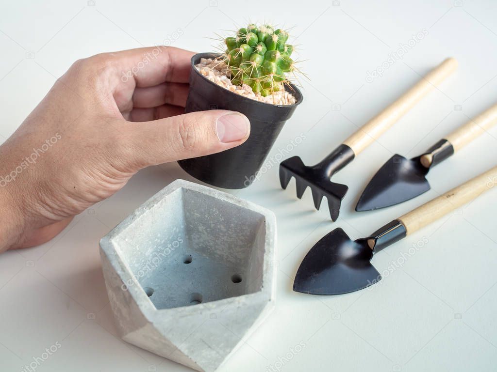 Hand holding cactus plant in black plastic pot with pentagon geometric concrete planter and garden tool set on white background, agriculture concept.