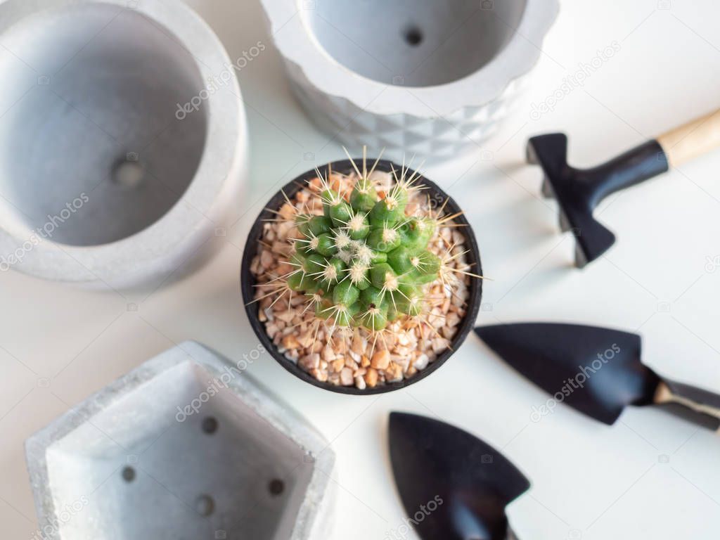 Cactus plant in black plastic pot with empty geometric concrete planters and garden tool set on white background top view, agriculture concept.