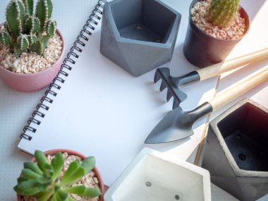 Kaktüs bitkileri, modern pentagon beton yetiştiricilerinin ve Bahçe araç güneş ışığı ile beyaz arka plan ayarlamak beyaz dizüstü boş alanı düz yatıyordu.