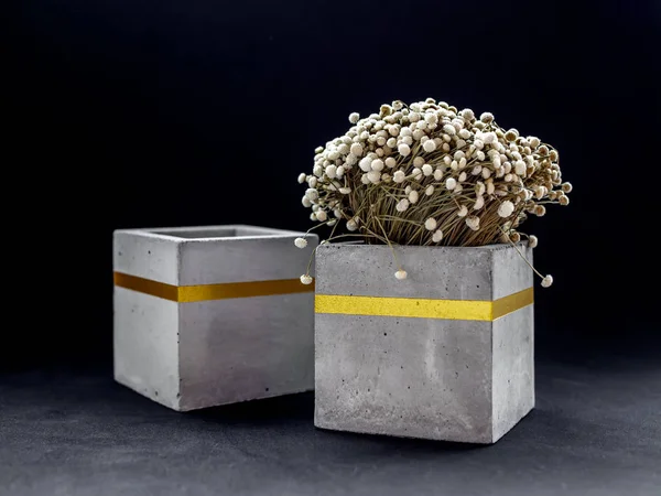 Modern cubic concrete planter with vintage flower. Painted concr