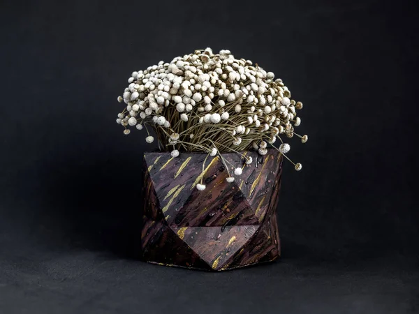 Bruna trä mönster målade geometriska konkreta planter med vinta — Stockfoto