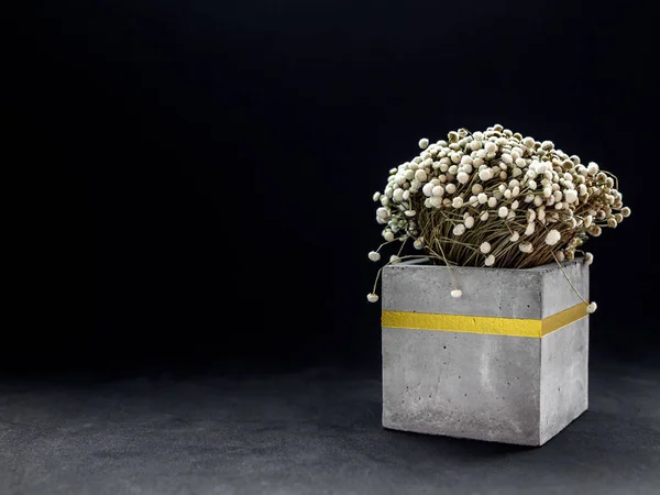 Modern cubic concrete planter with vintage flower. Painted concr