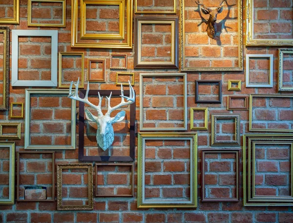 Varie cornici fotografiche vuote con testa di cervo in gesso appesa a bri — Foto Stock