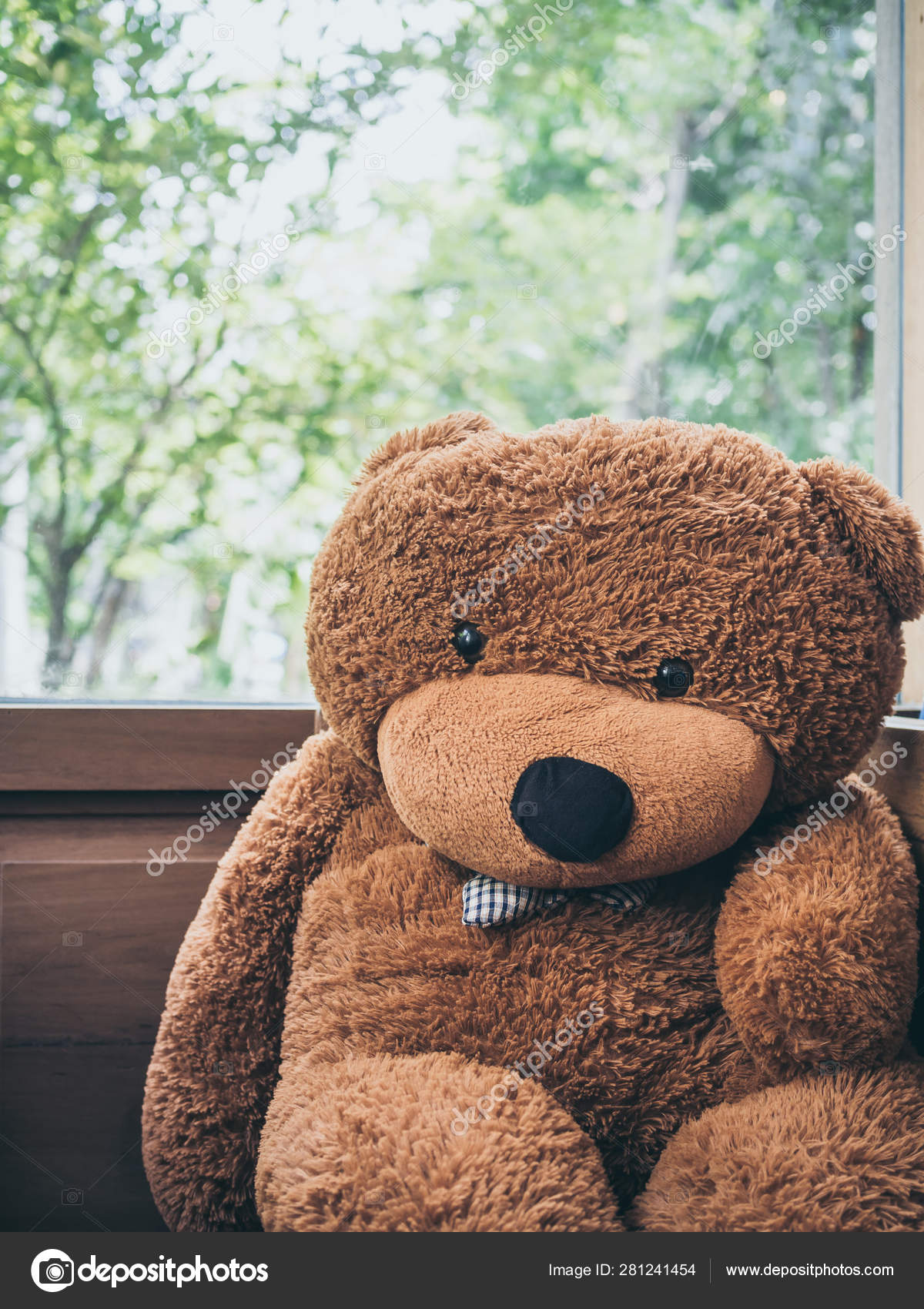 big and cute teddy bear