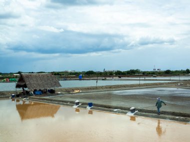 Tuz çiftçi tuz bahçesinde tuz kristal imiş, tuz farmi
