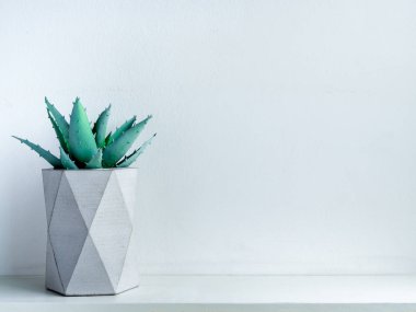 Beton saksı. Modern geometrik beton ekici.