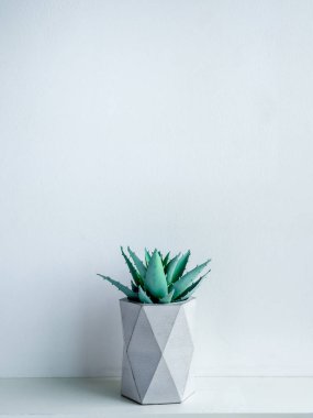 Beton saksı. Modern geometrik beton ekici.