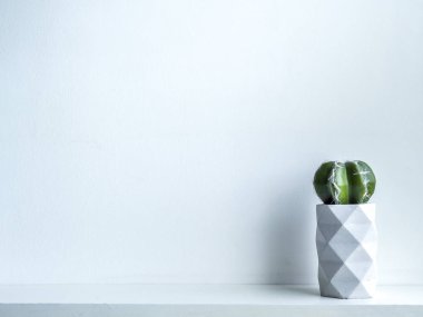 Beton saksı. Modern geometrik beton ekici.