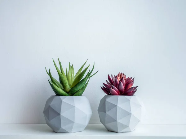 Betong kruka. Modern geometrisk betong planter. — Stockfoto