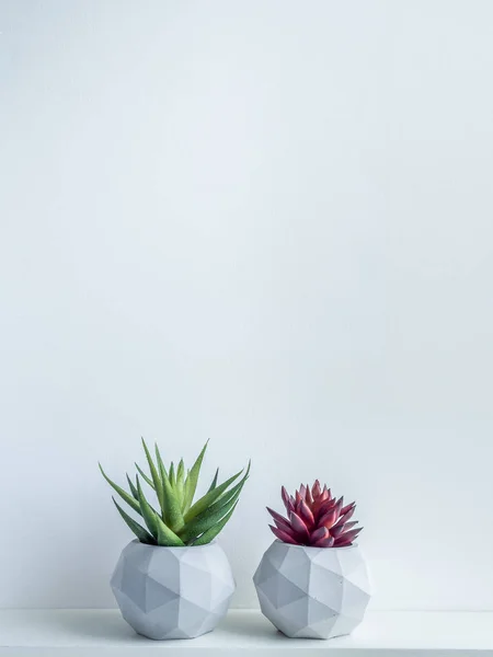 Betong kruka. Modern geometrisk betong planter. — Stockfoto