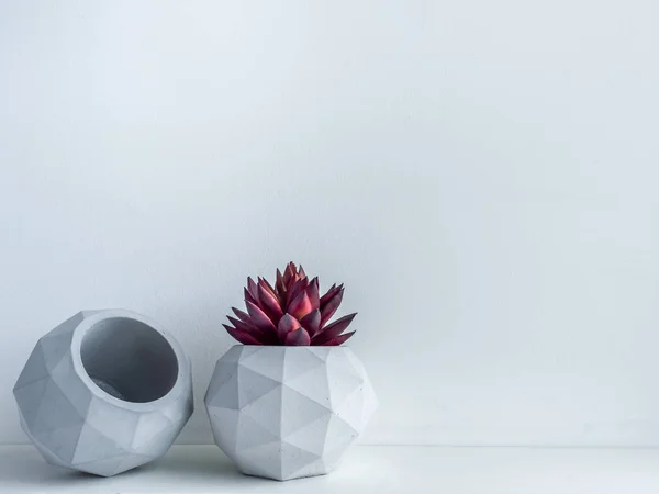 Concrete pot. Modern geometric concrete planter.