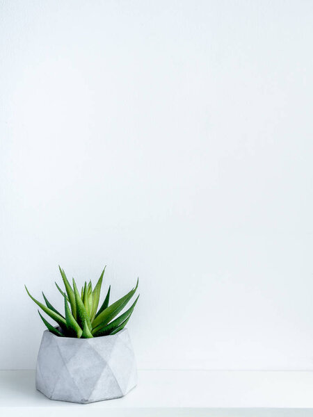 Concrete pot. Modern geometric concrete planter.