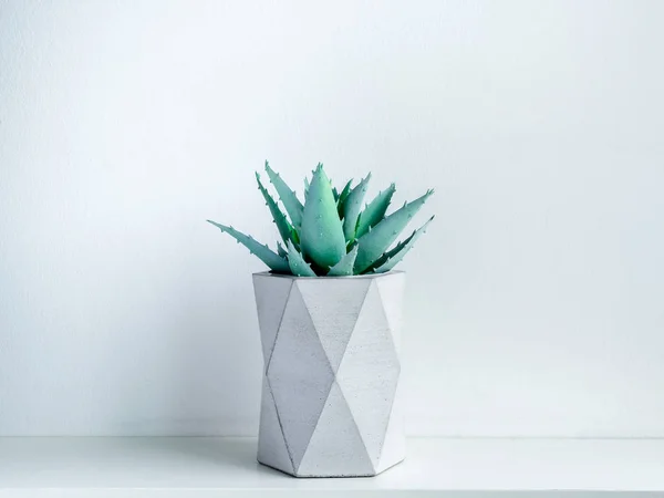 Concrete pot. Modern geometric concrete planter.